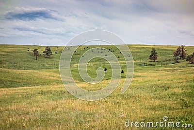 Custer State Park, Custer, SD Stock Photo