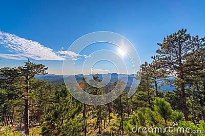 Custer State Park Landscape Stock Photo