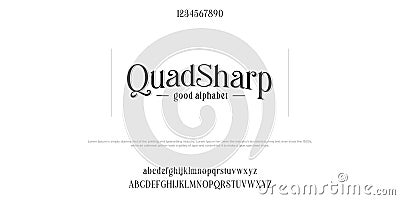 Custom font bundle script serif. Alphaber vector illustration Vector Illustration