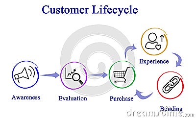 Customer lifecycle Stock Photo