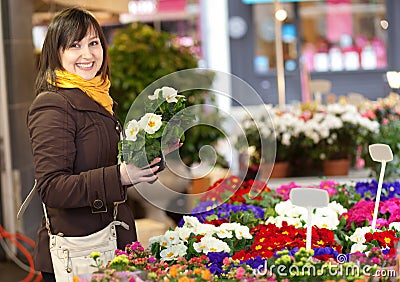 Customer selecting flowers at market Stock Photo