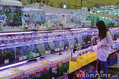 Customers buy goldfish in taipei flower market Editorial Stock Photo