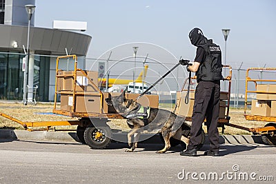 Customs and border protection officer and dog Editorial Stock Photo