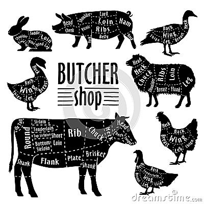Cut of animals meat, diagram for butcher. Meat cut set Vector Illustration