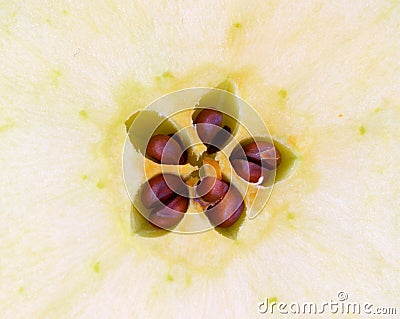 Cut apple core detail Stock Photo