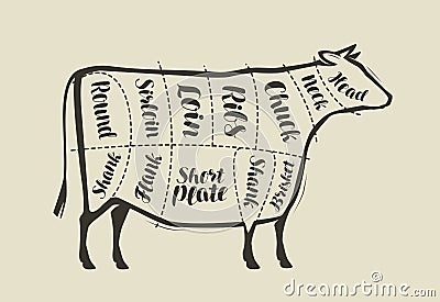 Cut of beef meat. Menu for restaurant or butcher shop. Vector vintage Vector Illustration