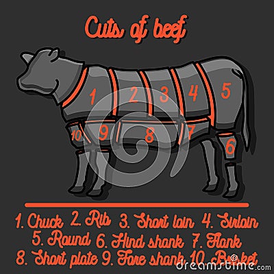 Cut of beef set Vector Illustration