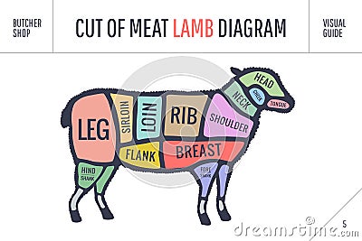 Cut of beef set. Poster Butcher diagram and scheme - Lamb Vector Illustration