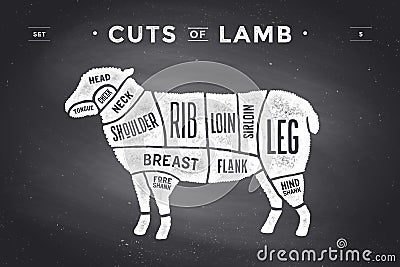 Cut of beef set. Poster Butcher diagram and scheme - Lamb Vector Illustration