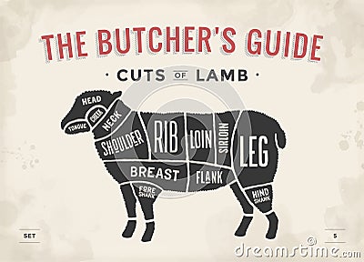 Cut of beef set. Poster Butcher diagram and scheme - Lamb. Vintage typographic hand-drawn. Vector illustration. Vector Illustration