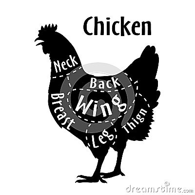 Cut of chicken, diagram for butcher. Poster for butcher shop. Guide for cutting. Vector illustration Vector Illustration