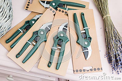 Cut dry lavender inflorescences and a garden pruner. Florist tool kit, pruner, scissors Stock Photo