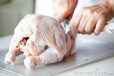 Cut fresh chicken Stock Photo