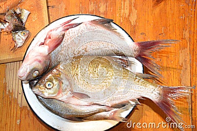 Cut fresh river fish with a knife Stock Photo