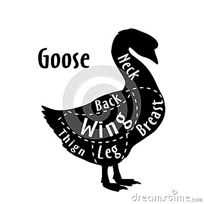 Cut of goose, diagram for butcher. Poster for butcher shop. Guide for cutting. Vector illustration Vector Illustration