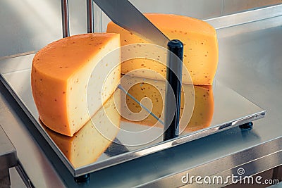 Cut head of cheese on an industrial cutter in a cheese factory. Packing of Gouda cheese on dairy Stock Photo