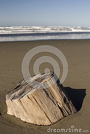 Cut log on Beach Stock Photo