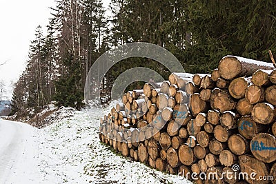 Cut logs lumber winter snow covered Stock Photo