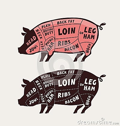 Cut of meat, pork. Poster butcher diagram and scheme. Pig vector illustration Vector Illustration