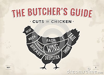 Cut of meat set. Poster Butcher diagram and scheme - Chicken. Vintage typographic hand-drawn. Vector illustration. Vector Illustration