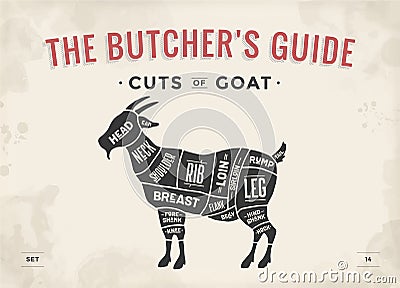 Cut of meat set. Poster Butcher diagram, scheme - Goat Vector Illustration