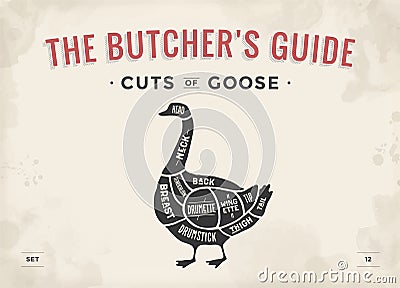 Cut of meat set. Poster Butcher diagram, scheme - Goose Vector Illustration