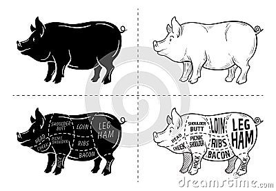 Cut of meat set. Poster Butcher diagram, scheme and guide - Pork. Vintage typographic hand-drawn on a black chalkboard Vector Illustration