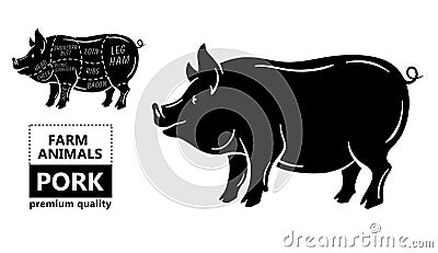 Cut of meat set. Poster Butcher diagram, scheme and guide - Pork. Vintage typographic hand-drawn on a black chalkboard Vector Illustration