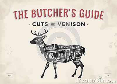 Cut of meat set. Poster Butcher diagram, scheme - Venison Vector Illustration