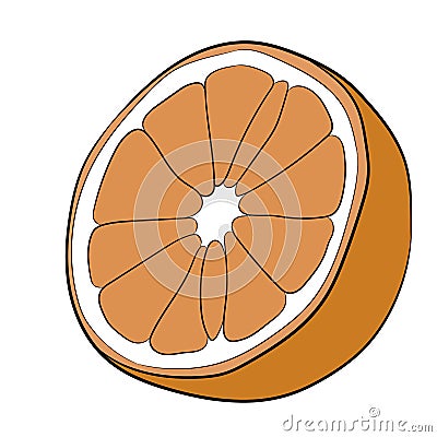 Cut orange fruit halves isolated on white of illustrations Cartoon Illustration