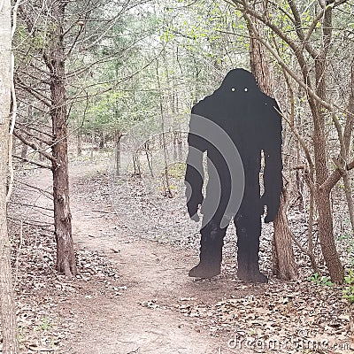 Cut out of bigfoot Stock Photo