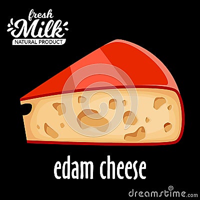 Cut piece of cheese edam vector isolated on black background Vector Illustration