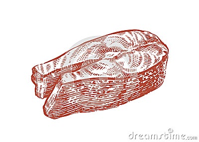 Cut piece of salmon fish sketch. Food concept Vector Illustration