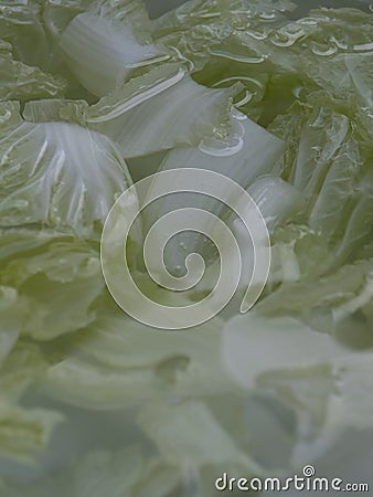 Pieces of White cabbage soaked in water Stock Photo