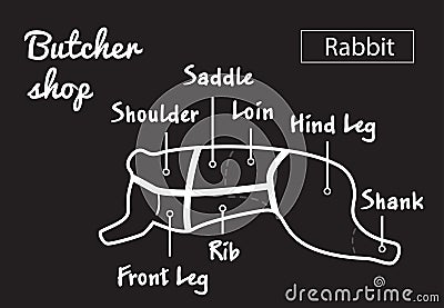 Cut of rabbit. Poster Butcher diagram for groceries, meat stores, butcher shop, farmer market. Rabbit silhouette. Vector Vector Illustration