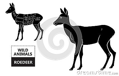 Cut of roedeer set. Poster Butcher diagram - roe. Vintage typographic hand-drawn. Vector Illustration