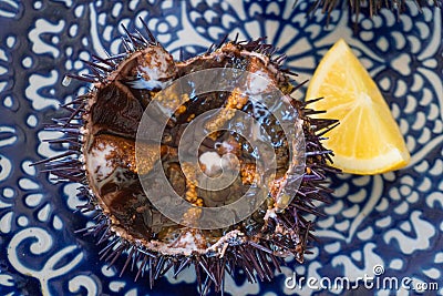 Cut sea urchins laid in the shell on a dish with lemon Stock Photo