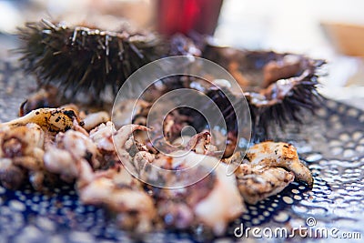 Cut sea urchins laid in the shell on a dish with lemon Stock Photo