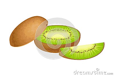 Cut Into Sections Kiwifruit or Kiwi as Edible Berry with Fibrous Brown Skin and Green Flesh Vector Illustration Vector Illustration