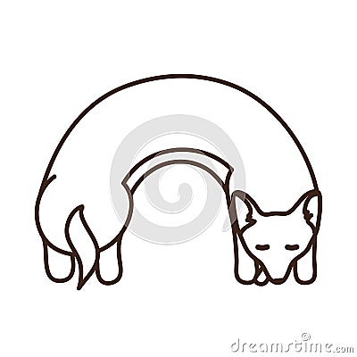 Cut and sew corgi neck pillow outline template Vector Illustration