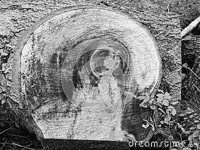 Angel in cut wood, mystic imagination, monochrome image Stock Photo