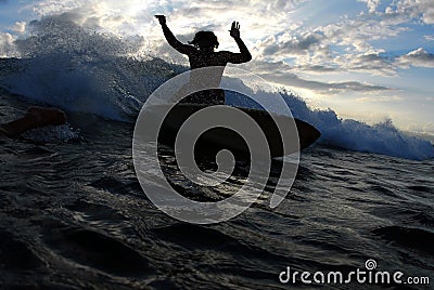 Cutback! Stock Photo