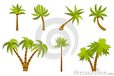 Cute cartoon palm set isolated on white background. Exotic trees in flat style. Double, triple palm. Tilted Vector Illustration