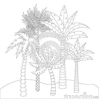 Cute cartoon palm oasis for coloring book for adults. Vector Illustration