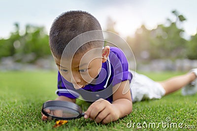 Happy little boy looking through magnifying glass on a sunny day at park. Stock Photo