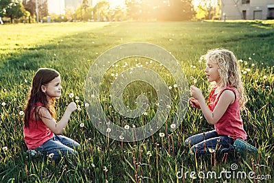 Cute adorable Caucasian girls blowing dandelions. Kiids sitting in grass on meadow. Outdoors fun summer seasonal children activity Stock Photo