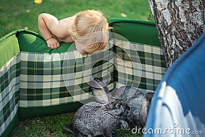 Cute adorable curious caucasian blond toddler boy make mat fence for rabbit and look discover domestic animal life. Funny child Stock Photo