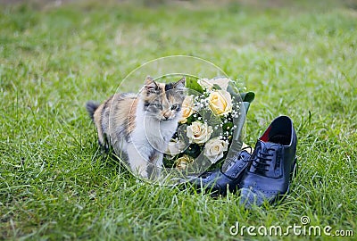 Wedding bouquet kitty shoes Stock Photo