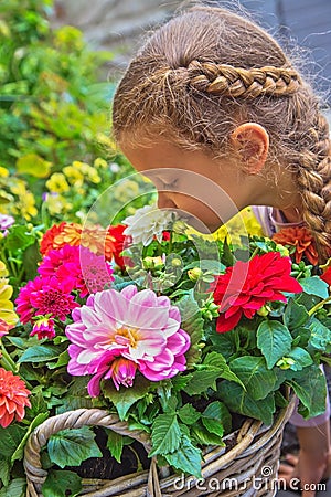 Cute adorable little girl sniffing dahlia flowers Stock Photo