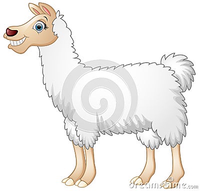 Cute alpaca cartoon Vector Illustration